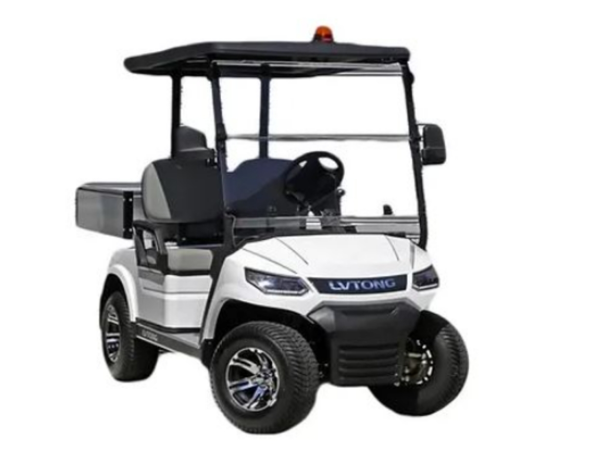 Picture of LV TONG 2025 2 Seat Short Wheel Base Utility Cart 80ah Lithium Battery